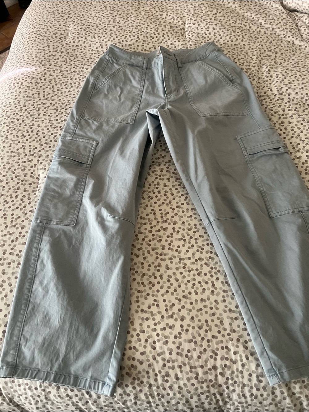 Universal Thread Light Blue Cargo Pants